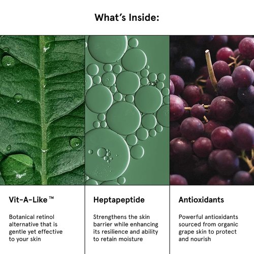 gitti Night Restoring Hand Balm I Natural Hand Care, Non-Toxic, 99% Natural Origin, Cruelty-Free, Vegan Collagen, Restores Skin Barrier, Reduces Wrinkles, Hydrates Skin, Floral Scent (2.53 fl oz)