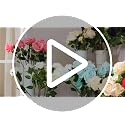 Artificial White Rose Flowers 10PCS Long Stem Fake Bouquet for Wedding & Party Decor