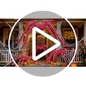 Pink Halloween Giant Spider Decorations Set - 10 Ft & 5 Ft Spiders for Indoor Outdoor Decor