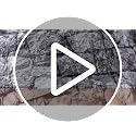 6ft Halloween Spandex Tablecloth with Brick Wall Pattern - Party Decor - Variation of THIS listing: 9.5" x 9.5" Rectangle