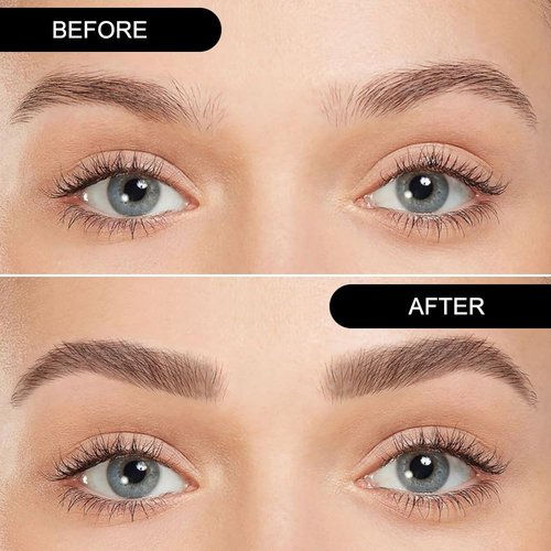 Regine Switzerland Eyebrow Powder Kit - Medium Brown | Long-Lasting Waterproof Formula with Double-Ended Brush
