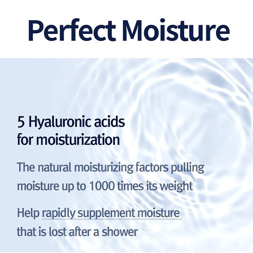 Pyunkang Yul Intensive Ceramide Body Lotion - Non-Greasy, Minimal Ingredients | 500ml (16.9 Fl. Oz)
