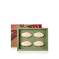 Natura Cacau Bar Soap Set - Moisturizing Cocoa Butter Soap for Dry Skin | Vegan & Nourishing - 4 Pack, 3.5 oz Each