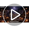 Halloween Skeleton Goat Decoration - 26 Inch Animal Skeleton for Haunted Decor - Variation: Goat