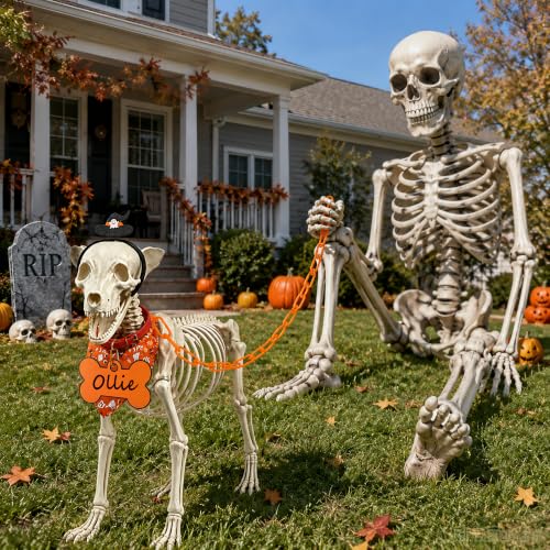 7Ft Skeleton Dog Costume Accessories Set - Orange Halloween Decor