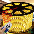 32.8ft Warm White Waterproof LED Strip Light with Remote - AC 110-120V, Multi-Mode Dimmable Rope Light for Home & Office Decoration