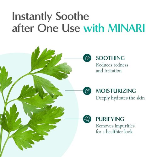 RATAPLAN Minari Calming Moisture Cream - Hydrating Gel with Hyaluronic Acid & Centella | 2.53 fl oz