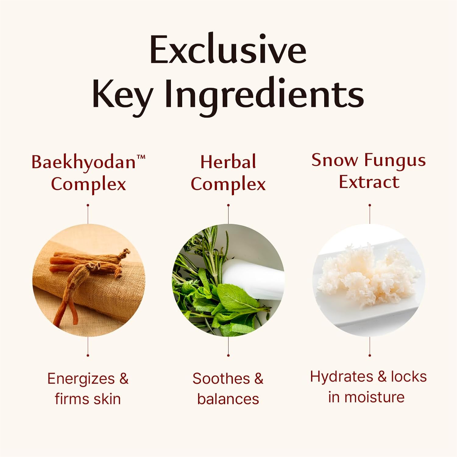 Sooryehan Hyobidam Fermented Cream - Korean Facial Moisturizer with Wild Ginseng | 1.7fl oz Wrinkle & Night Cream for Women