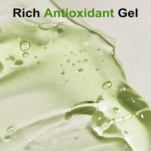 Skiennix Green Tea Face Wash - Hydrating Cleanser with Vitamins A, C, E & Kale Extract | 237ML/8 oz