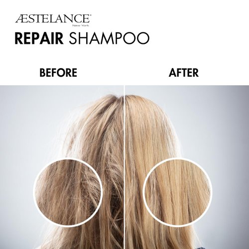 Skiennix Repair Shampoo - Nourishes Damaged Hair & Restores Brittle Strands | 8 Fl. Oz