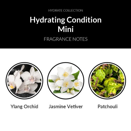 Number 4 Mini Hydrating Hair Conditioner - Travel Size Moisturizing Deep Conditioner for Dry Hair, 1.5 oz