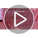 Pink Foil Fringe Table Skirt - 2 Pack, 29x108 Inch Party Decor