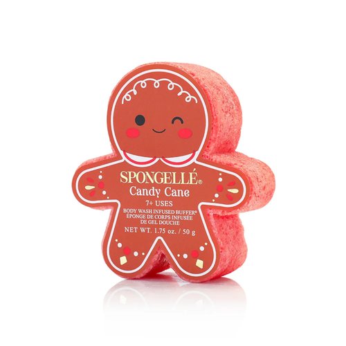 Spongelle Holiday Gingerbread Assorted Pack