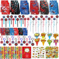 All-in-One Spider Party Favor Kit with 308 Pieces for Birthdays Halloween Events
