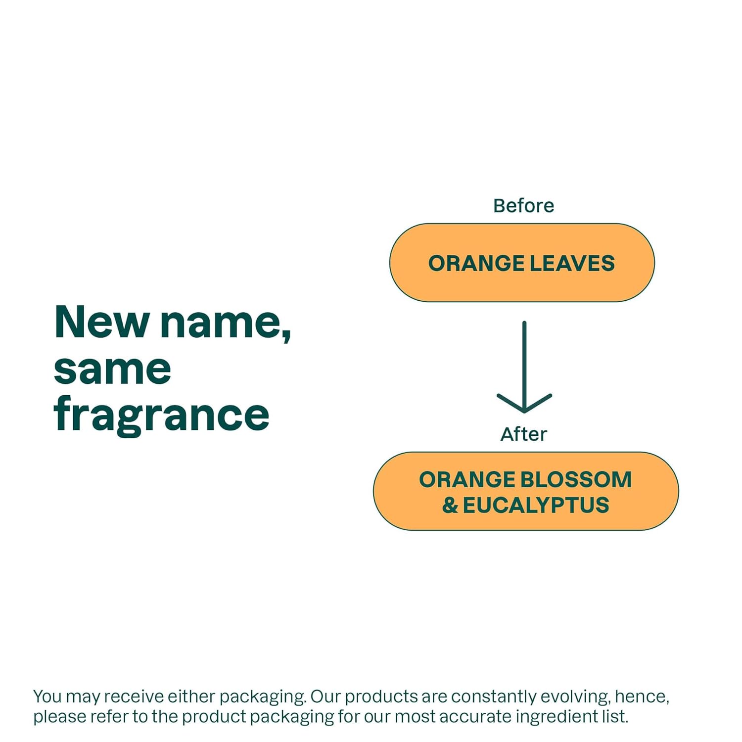 ATTITUDE Foaming Hand Soap - EWG Verified, Vegan & Cruelty-Free | Orange Blossom & Eucalyptus, 10 Fl Oz