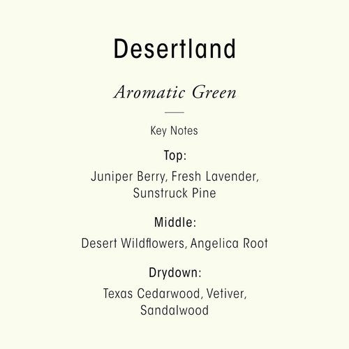 Desertland Revitalizing Hand Wash - Nourishing Formula for Soft, Clean Hands | 8 oz