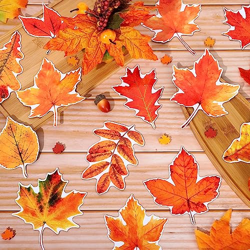 Fall Refrigerator Magnets 20-Piece Maple Leaf Thanksgiving Decor Set