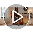 Black Velvet Christmas Bow - Large 16x79 Inch Holiday Wreath & Decor, Wedding & Party Accessory