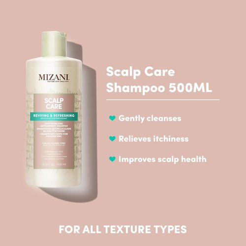 MIZANI Scalp Care Dandruff Shampoo - Deep Cleansing Formula for Curly Hair & Scalp Relief
