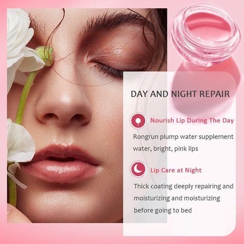 8PCS Bee Lip Balm Pot, Fruit Moisturizing Propolis Lip Mask, Lip Mask Overnight Moisturizing Lip Balm Hydrating Prevention Dry and Crack Lip Scrubs Exfoliator Lip Wrinkle Care Products (SET B)