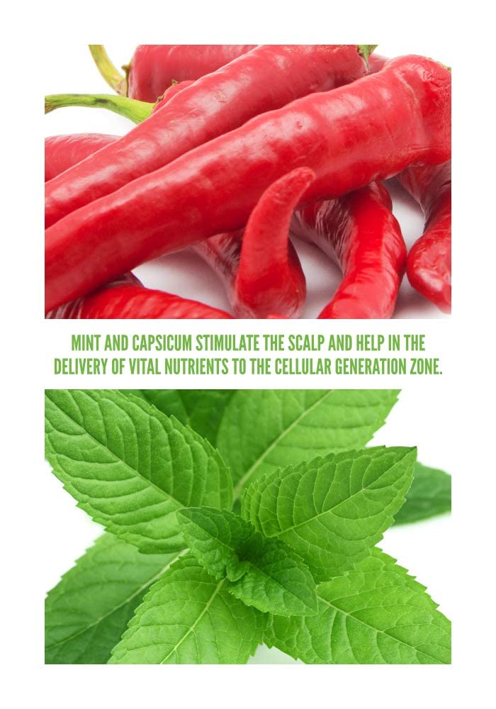 Surface Hair - Awaken Therapeutic Treatment - Natural Formula for Thinning Hair & Healthy Scalp