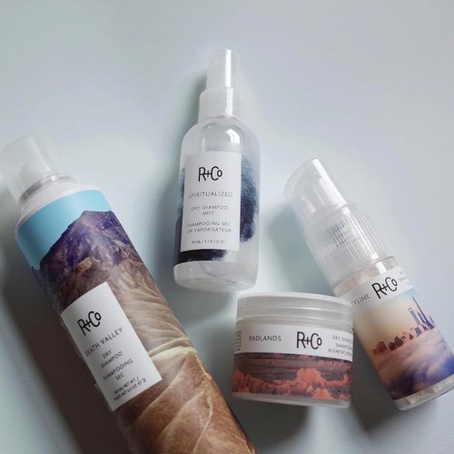 R+Co Skyline Dry Shampoo Powder - Oil-Absorbing, No Residue Formula for Refreshing Hair - 1 oz