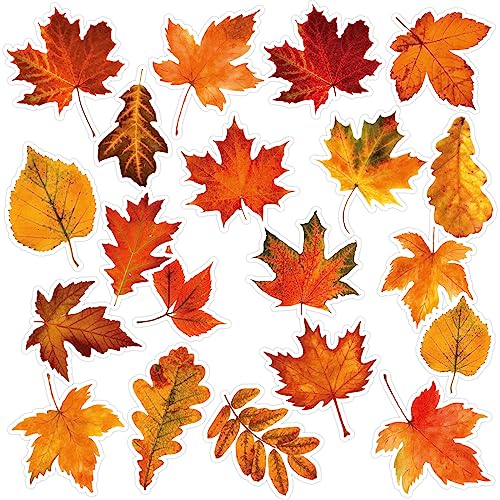 Fall Refrigerator Magnets 20-Piece Maple Leaf Thanksgiving Decor Set