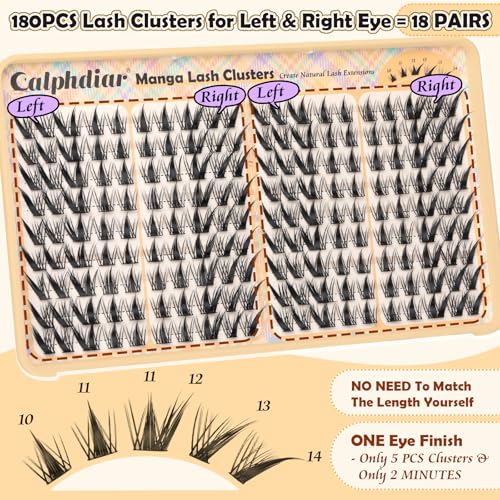 Fox Eye Lash Clusters 180 Pcs C Curl D-Doll Round Spiky Eyelash Extensions
