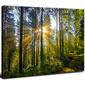 Green Forest Sunrise Wall Art Canvas - 24x16 Inch Tropical Landscape for Living Room & Bedroom
