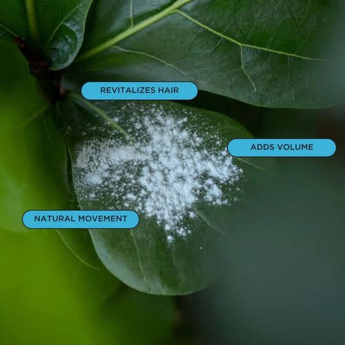 O'Douds Dry Shampoo Powder - Refreshing & Volumizing Formula - Natural Vegan Ingredients - 2oz