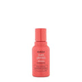 Aveda Nutriplenish Shampoo - Deep Moisture for Medium to Thick Dry Hair | Organic Pomegranate Oil & Coconut Oil