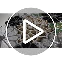 Beaded Table Runner 36 Inch Long Christmas Flower Design Grey Multi - Variation of THIS listing