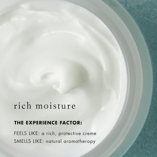 Bioelements SPF 50 FaceScreen | Antioxidant Broad-Spectrum Sunscreen Moisturizer - 2.3 oz - Vegan & Gluten-Free