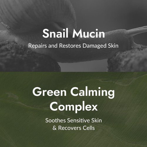 MIZON All In One Snail Repair Cream - Snail Mucin & Hyaluronic Acid for Wrinkle Recovery | 2.53 fl oz