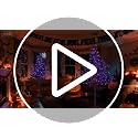 Lightshare 6ft Purple Halloween Willow Tree with 200 LED Lights Indoor Outdoor Decor