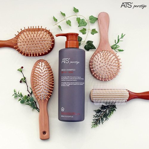 ATS Perstige Bresh Shampoo - Silicone-Free Formula for Oily Scalp | 600ML Size