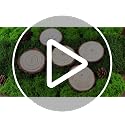 Halloween Enchanted Forest Table Runner Set with Pine Wood Slices & Artificial Moss