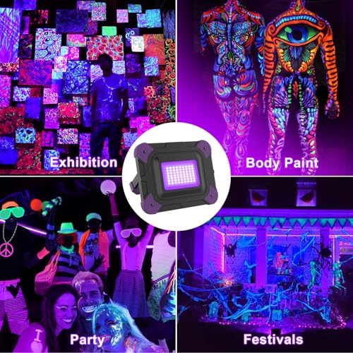 Rechargeable UV Black Light with 405nm Purple Variation, High & Low Modes