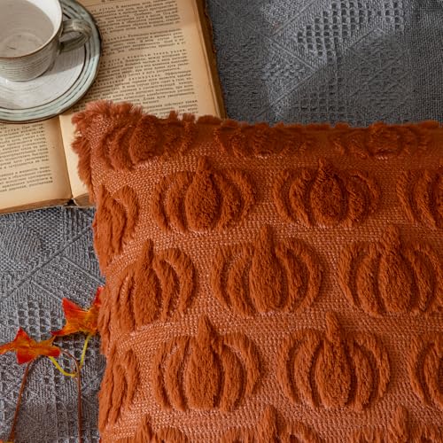 ANRODUO Fall Decorations Pillow Covers 18x18 Set of 2 Dark Rust Pumpkin Embroidered