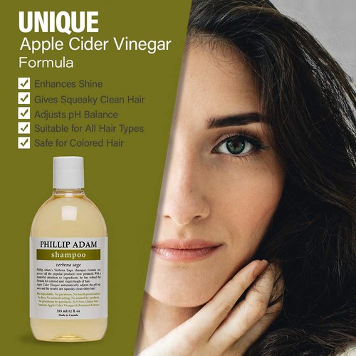 Phillip Adam Verbena Sage Shampoo - Sulfate & Paraben Free for Shiny Hair - 12 Fl Oz