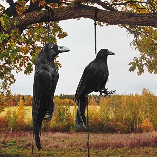 2 Pcs Halloween Black Crow Decoys - Realistic 17 Inch & 12 Inch Fake Crows for Garden & Decor