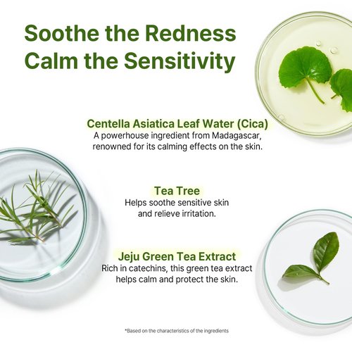 AVCA Cica Tea Tree Calming Serum - Soothing 100ml for Redness & Blemish-Prone Skin | Korean Skincare