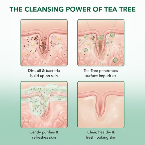Botanic Hearth Tea Tree Body Wash - Infused with 100% Pure Tea Tree Oil & Coconut | 16 fl oz Cleanser with Dual-Sided Brush