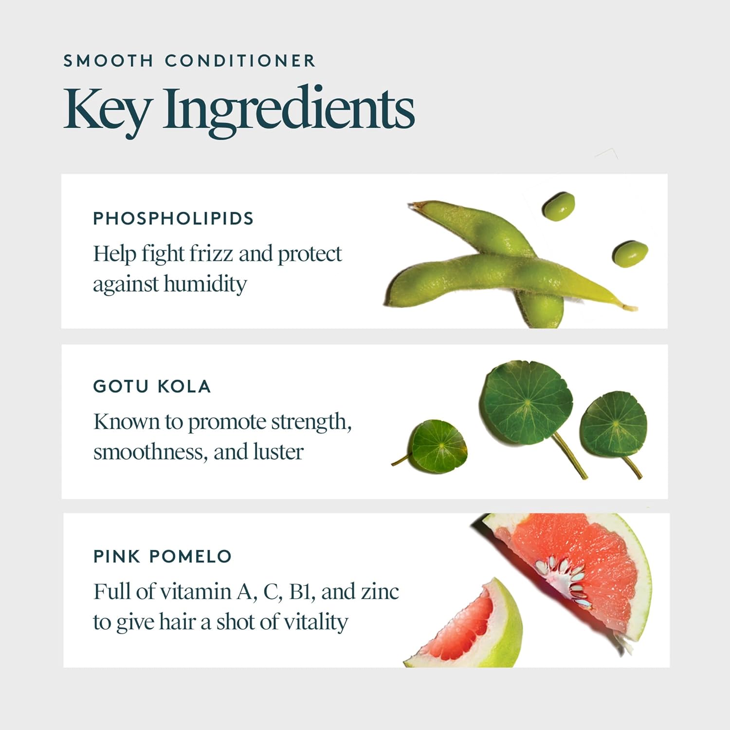 Virtue Smooth Conditioner - Frizz Control for Curly Hair | Sulfate-Free & Color Safe, 8 Fl Oz