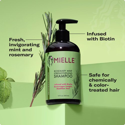 Mielle Organics Rosemary Mint Biotin Shampoo - Moisturizing Hair Cleanser for All Hair Types (12 oz)