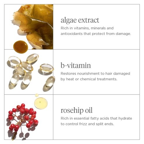Briogeo Don't Despair, Repair! Moisture Conditioner - Argan Oil Formula for Dry, Damaged Hair | Vegan & Silicone-Free