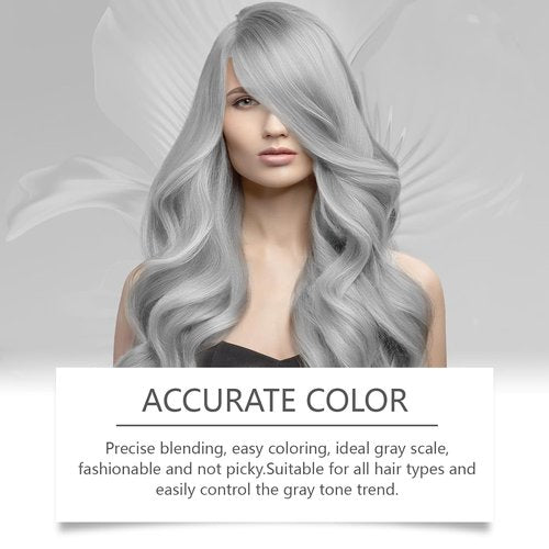 Regine Switzerland Silver Hair Dye - 2-in-1 Nourishing Hair Color with Natural Essence | 3.53 Fl Oz (2 Pack)