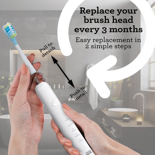 GuruNanda Lion & Lamb 2.0 Replacement Brush Head (Pack of 6), Round-Ended, Soft Bristles to Help with Plaque Control, BPA-Free, IPX7 Waterproof - White