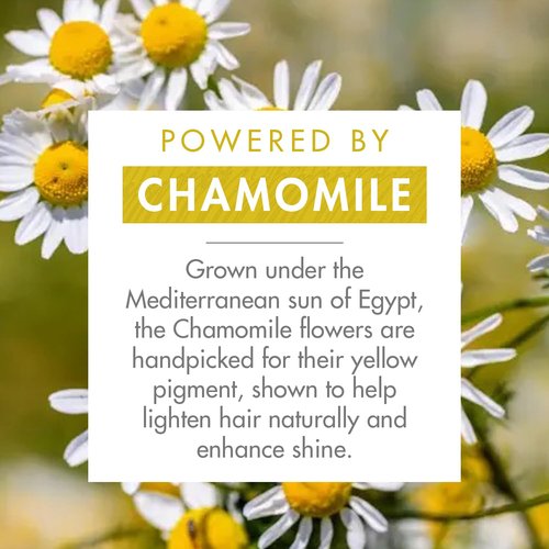 Klorane Brightening Shampoo with Chamomile - Enhance Blonde Highlights & Shine - Ultra-Gentle, Vegan - 13.5 fl. oz.
