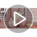 Fall Pink Pumpkin Decor Set with Bows - Outdoor Porch Halloween Autumn